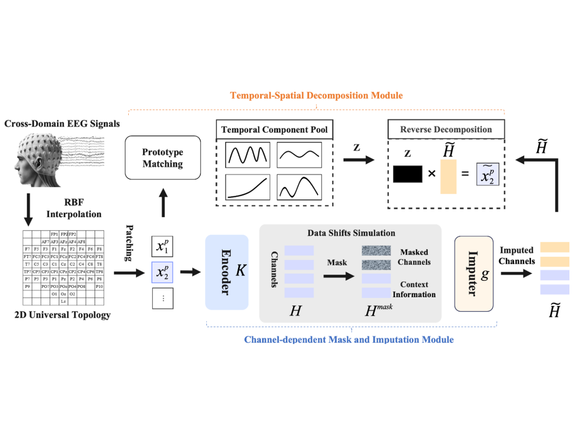 Spatial Imputation Drives Cross-Domain Alignment for EEG Classification